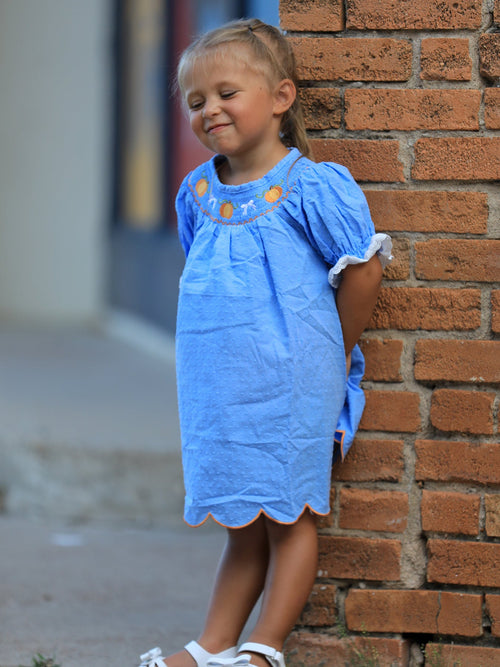 Blue Fall Thanksgiving&Halloween Pumpkin Smock Embroidery Lace Baby Girl Dress