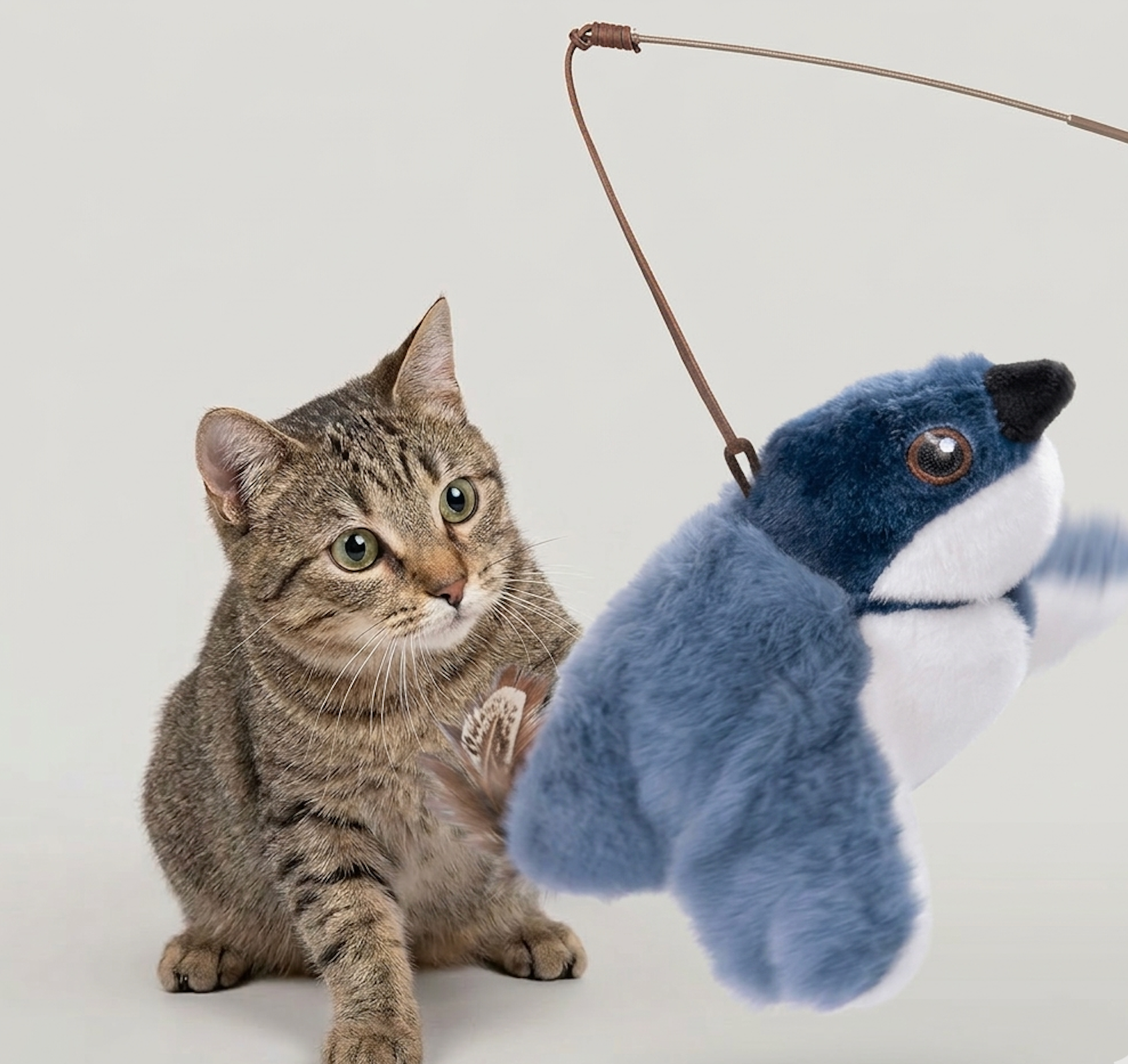 Flapping Bird Cat Toy — USB Rechargeable