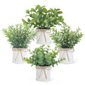 Mini Faux Eucalyptus in Galvanized Pots — Set of 4